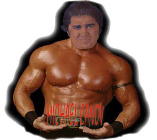 Po kliknutí maturitní otázky